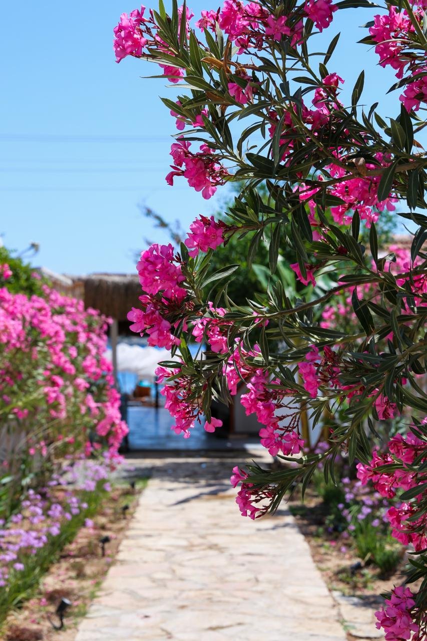 Kargı Beach